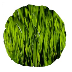 Agricultural Field   Large 18  Premium Round Cushions by rsooll