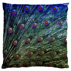 Peacock Feathers Colorful Feather Standard Flano Cushion Case (one Side) by Pakrebo