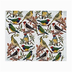 Vintage Birds Small Glasses Cloth (2-side) by Valentinaart