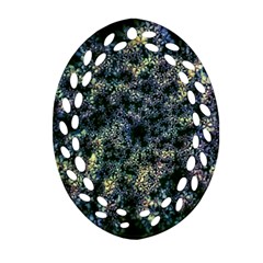Queen Annes Lace In Blue And Yellow Ornament (oval Filigree) by okhismakingart