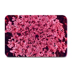 Queen Annes Lace In Red Part Ii Plate Mats by okhismakingart