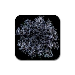 Queen Annes Lace In White Rubber Square Coaster (4 Pack)  by okhismakingart