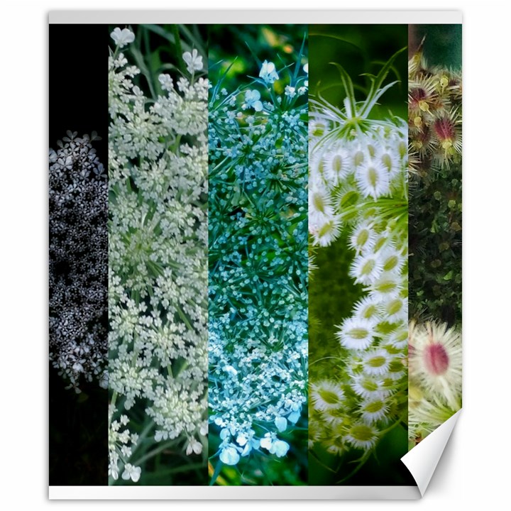Queen Annes Lace Vertical Slice Collage Canvas 20  x 24 