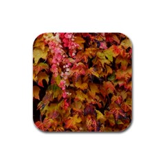Red And Yellow Ivy Rubber Square Coaster (4 Pack)  by okhismakingart