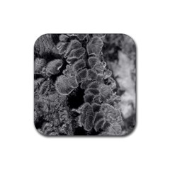Tree Fungus Branch Vertical Black And White Rubber Coaster (square)  by okhismakingart
