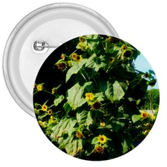 Big Sunflowers 3  Buttons by okhismakingart
