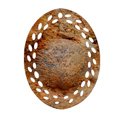 Shell Fossil Ii Ornament (oval Filigree) by okhismakingart