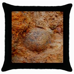 Shell Fossil Ii Throw Pillow Case (black) by okhismakingart