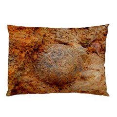 Shell Fossil Ii Pillow Case (two Sides) by okhismakingart