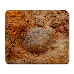 Shell Fossil Ii Large Mousepads by okhismakingart