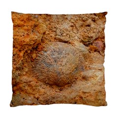 Shell Fossil Ii Standard Cushion Case (two Sides) by okhismakingart