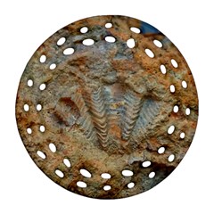 Shell Fossil Round Filigree Ornament (two Sides) by okhismakingart