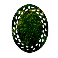 Green Goldenrod Ornament (oval Filigree) by okhismakingart