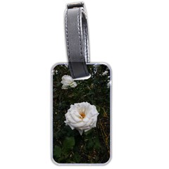 White Smooth Rose Luggage Tags (two Sides) by okhismakingart
