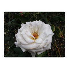 White Smooth Rose Double Sided Flano Blanket (mini)  by okhismakingart