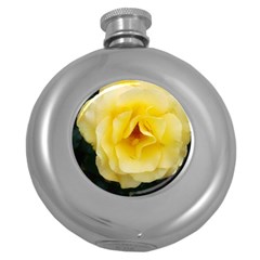 Pale Yellow Rose Round Hip Flask (5 Oz) by okhismakingart