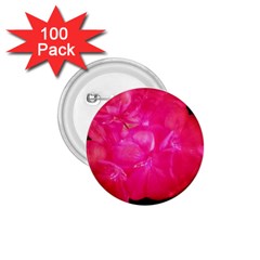 Single Geranium Blossom 1 75  Buttons (100 Pack)  by okhismakingart