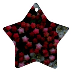 Floral Stars Ornament (star)