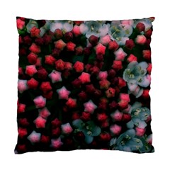 Floral Stars -bright Standard Cushion Case (one Side) by okhismakingart