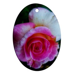 Spiral Rose Oval Ornament (two Sides) by okhismakingart