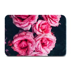 Pink Roses Ii Plate Mats by okhismakingart