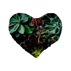 Succulents Standard 16  Premium Flano Heart Shape Cushions by okhismakingart