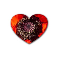 Ornamental Poppies Half Rosette Plant Rubber Coaster (heart)  by Pakrebo
