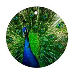 Peacock Peafowl Pattern Plumage Ornament (round)