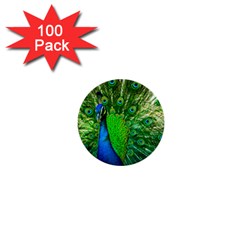 Peacock Peafowl Pattern Plumage 1  Mini Buttons (100 Pack)  by Pakrebo
