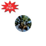 Palm Tree 1  Mini Magnet (10 pack)  Front