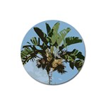 Palm Tree Magnet 3  (Round)