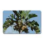 Palm Tree Magnet (Rectangular)