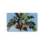 Palm Tree Magnet (Name Card)