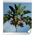 Palm Tree Canvas 8  x 10 