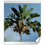 Palm Tree Canvas 20  x 24 