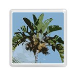 Palm Tree Memory Card Reader (Square)