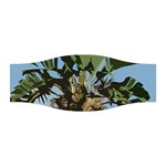 Palm Tree Stretchable Headband