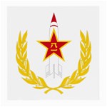 Badge of People s Liberation Army Rocket Force Medium Glasses Cloth