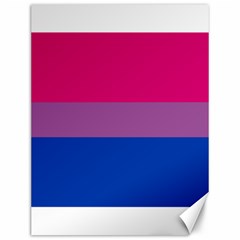 Bisexual Pride Flag Bi Lgbtq Flag Canvas 12  X 16  by lgbtnation