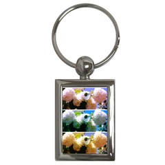 Snowball Branch Collage (i) Key Chain (rectangle) by okhismakingart