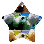 Snowball Branch Collage (I) Star Ornament (Two Sides)
