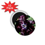 Galaxy Tulip 1.75  Magnets (10 pack) 