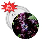 Galaxy Tulip 2.25  Buttons (100 pack) 