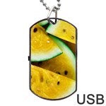 Sliced Watermelon Lot Dog Tag USB Flash (Two Sides)