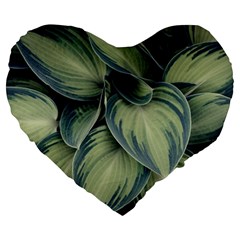 Closeup Photo Of Green Variegated Leaf Plants Large 19  Premium Flano Heart Shape Cushions by Pakrebo