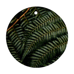 Green Leaves Photo Ornament (round)