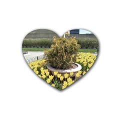 Columbus Commons Yellow Tulips Rubber Coaster (heart)  by Riverwoman
