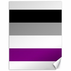 Asexual Pride Flag Lgbtq Canvas 18  X 24  by lgbtnation