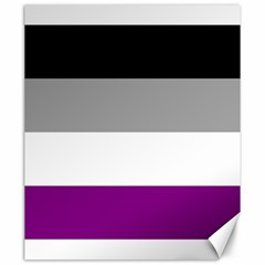 Asexual Pride Flag Lgbtq Canvas 20  X 24  by lgbtnation