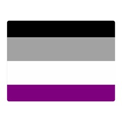 Asexual Pride Flag Lgbtq Double Sided Flano Blanket (mini)  by lgbtnation